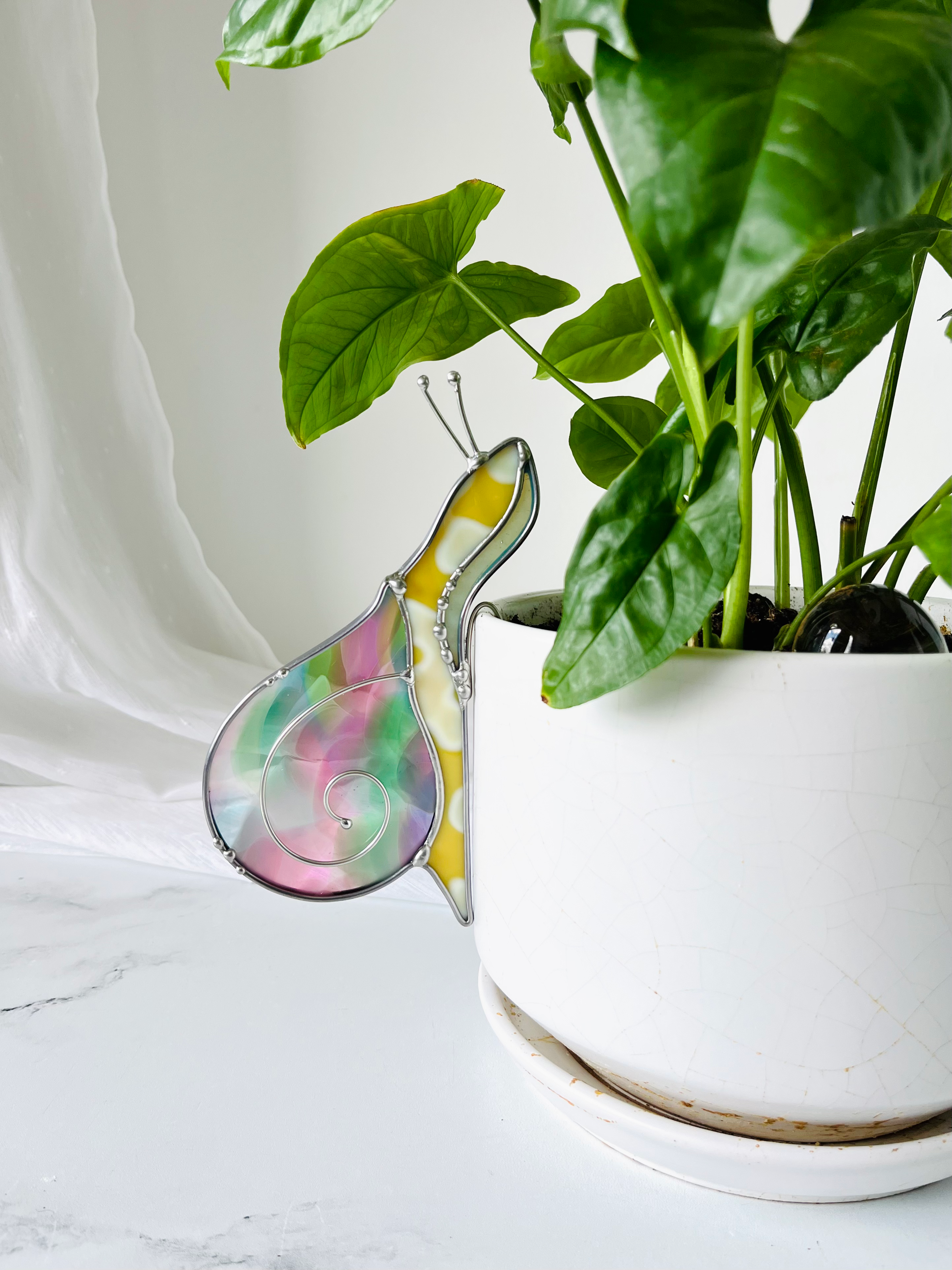 Snail Plant Buddies - Summer