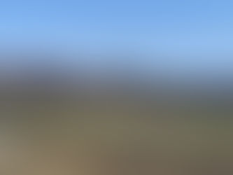 What our holiday-makers say