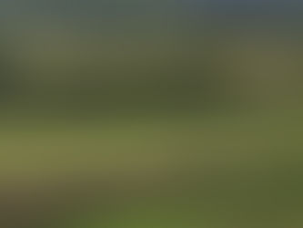 Ticket to ride on the Strathspey Railway