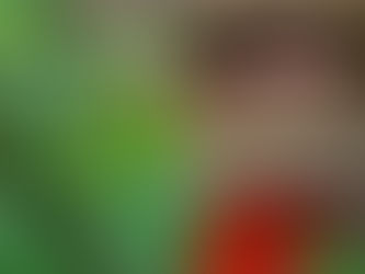 They will never take our Freedom