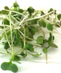 Microgreens | United States | Deans-microgreen