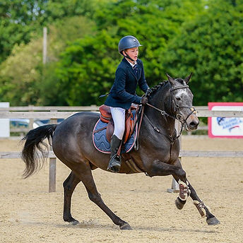 WhatsApp Image 2025-06-09 at 14.10.53_46a5f26b.jpg