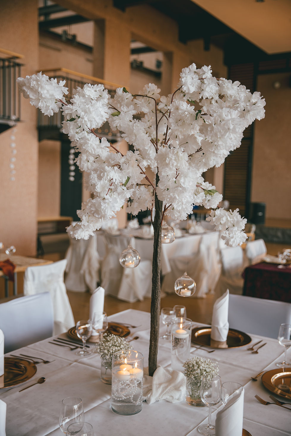 Kirschblütenbaum Kesha