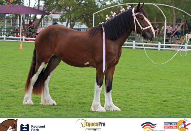 WhatsApp Image 2022-03-09 at 13.02.59 (1).jpeg