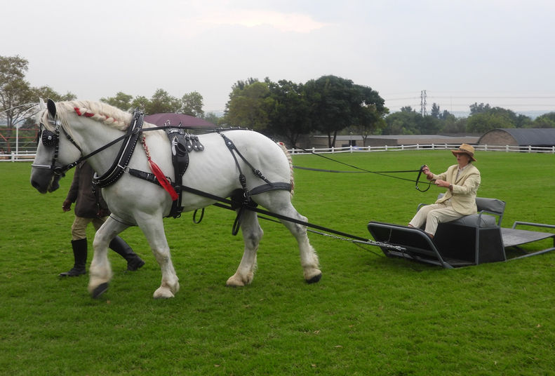 Caroi with Judge.JPG