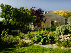 Martens Van Caimere Architecten_Guillemi