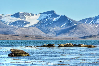 Фото 27.07.2019, 17 50 07.jpg