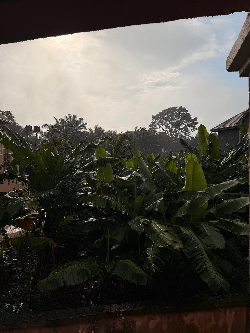 The view from my "home office" in Isuofia, a place where I spent a lot of time writing. 