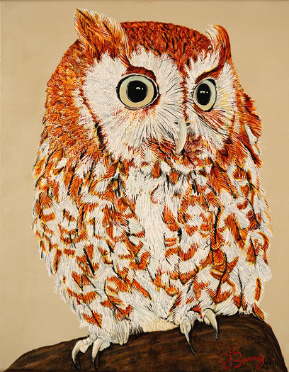 Eastern Screech Owl, Red Phase