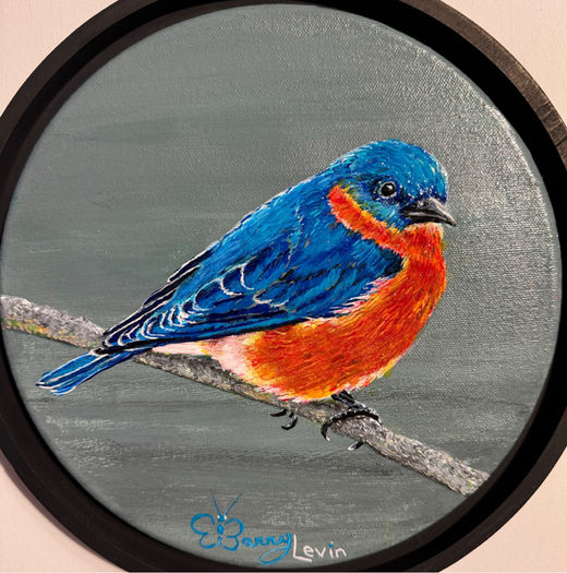 Eastern Bluebird (study)