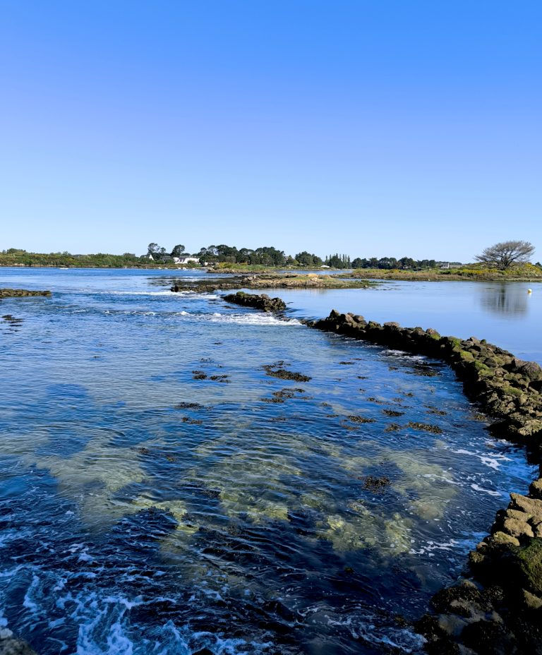 Séjour Spiritualité & Guidance : Chemin d'intuitions et de perceptions