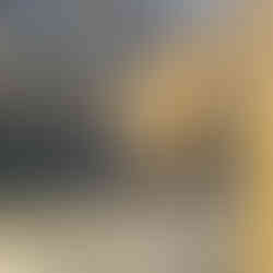 DVN Concept rénovation Reims