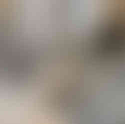 DVN Concept rénovation Reims