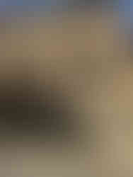 DVN Concept rénovation Reims