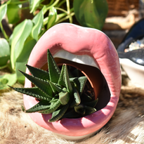 Screen Shot 2022-04-17 at 12.29.51 AM.png