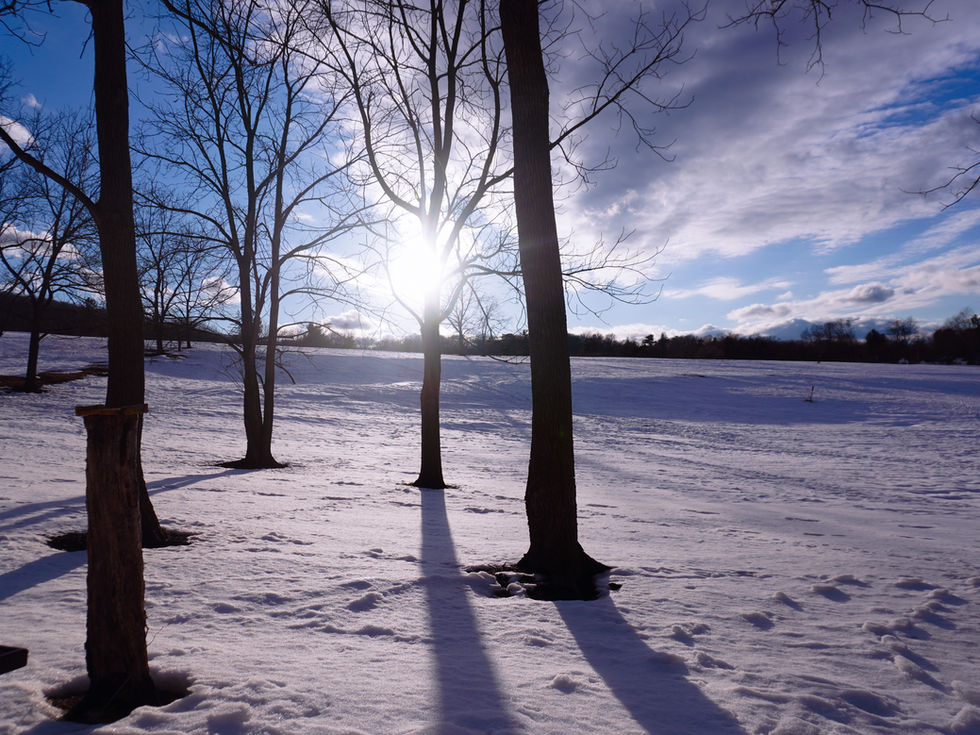 Eliza Peterson photographed by Lara Cruzado