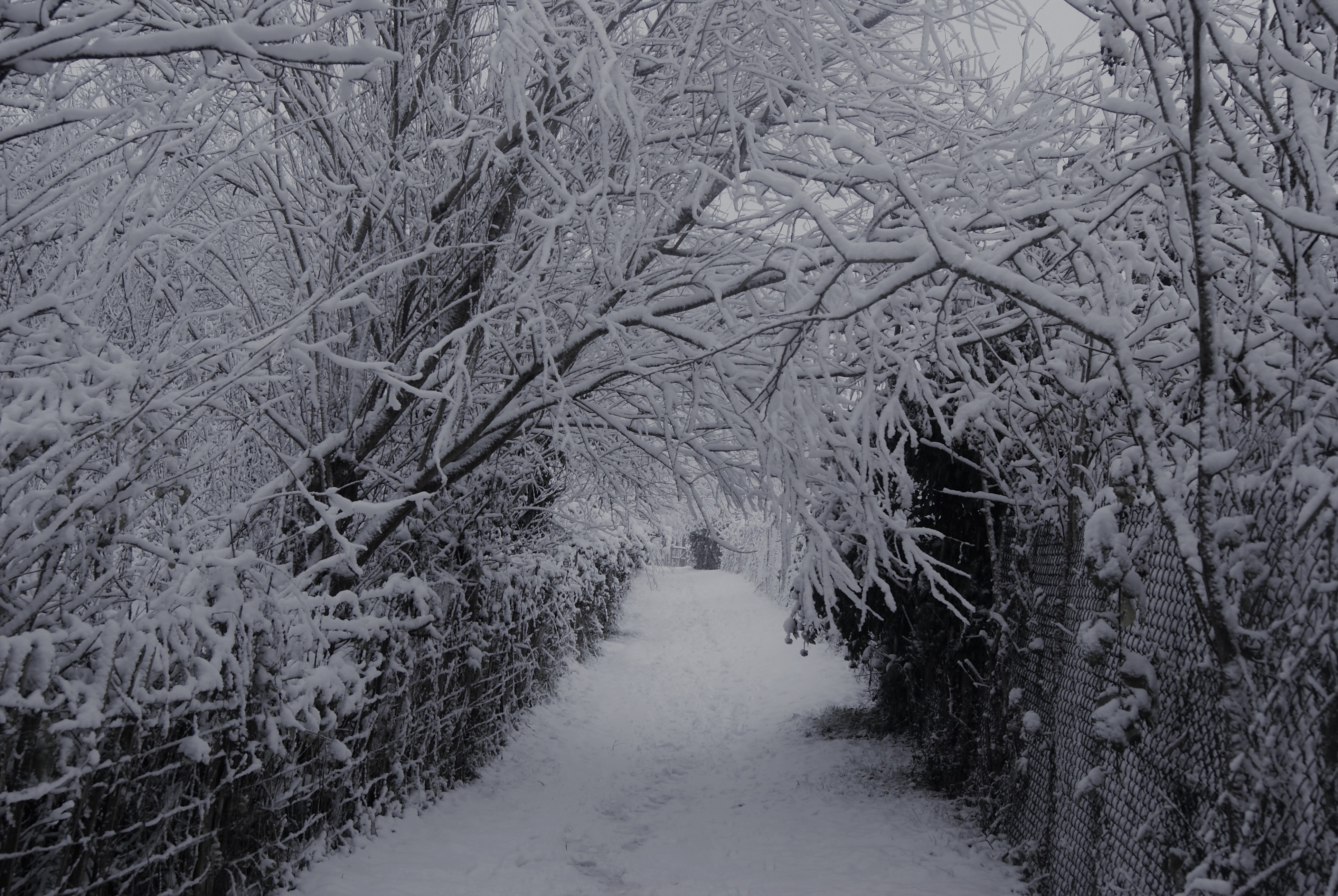 18.Snowy Church Path.