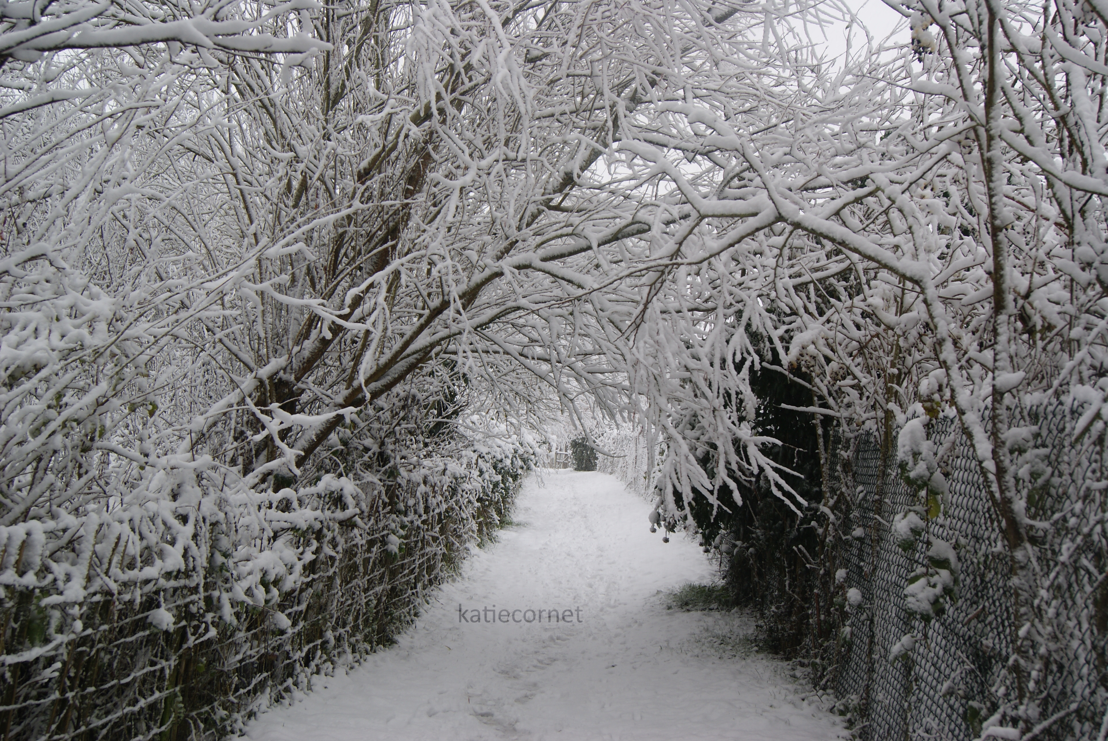 16.Church Path, Cheddington