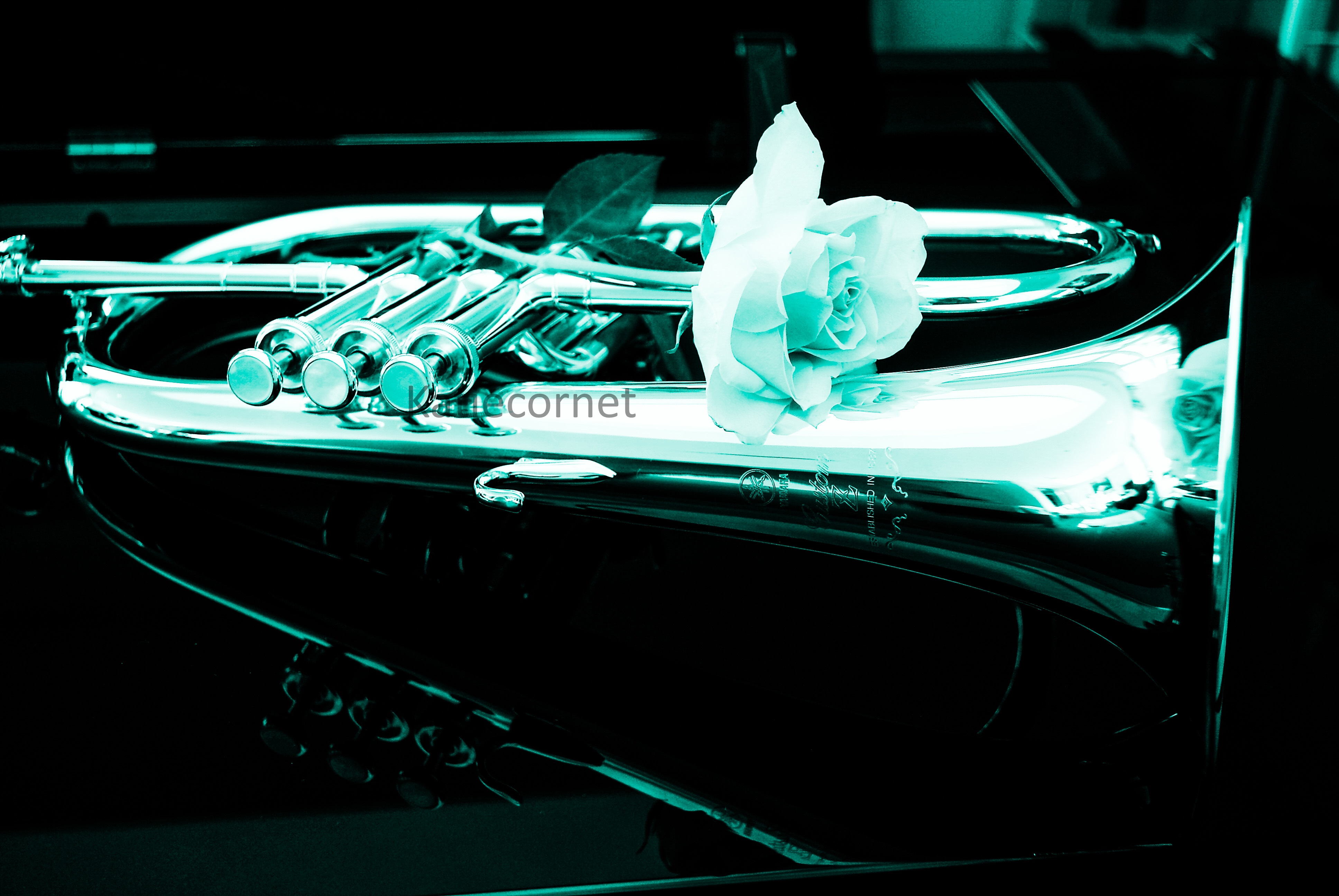10.Silver flugel and white rose