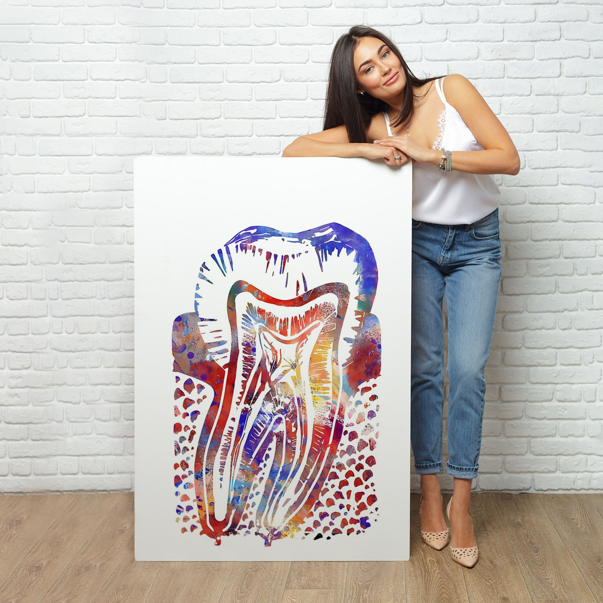 Suluboya Diş Anatomisi Tablosu