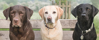 AdobeStock_111557458.jpeg