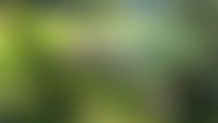 Marysville Golf Report 18 April