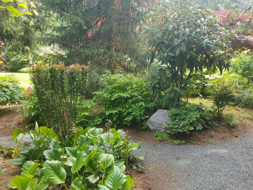 Garden Path