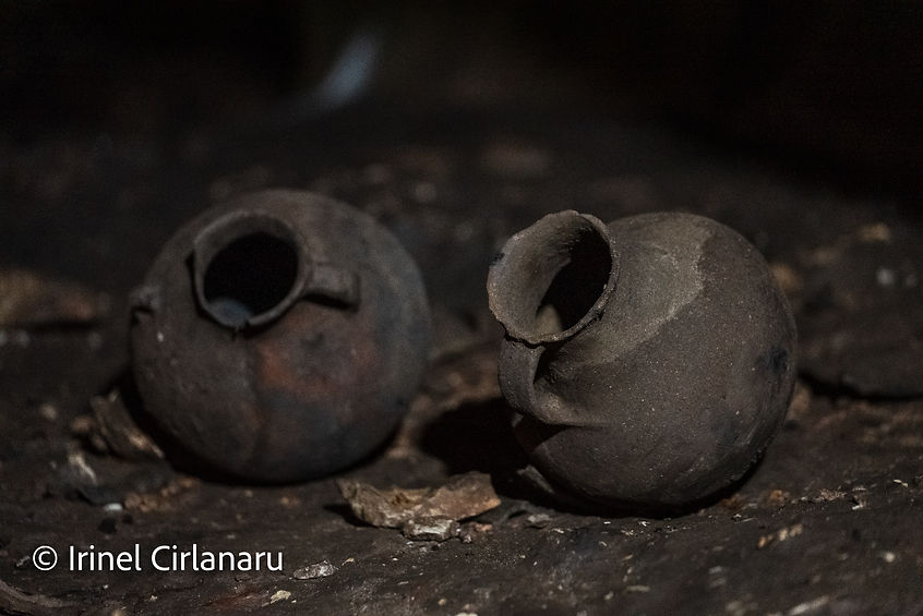 DSC05153- Full Size.jpg