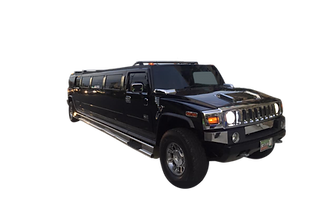 DVINE Fleet_edited.png