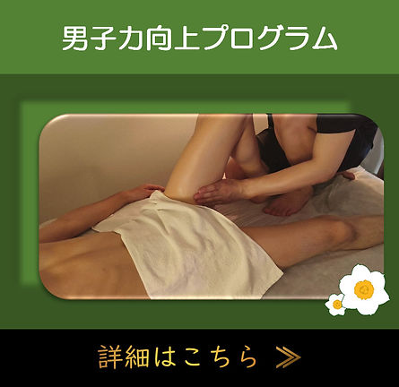 ホームページ男子力向上プログラム.jpg