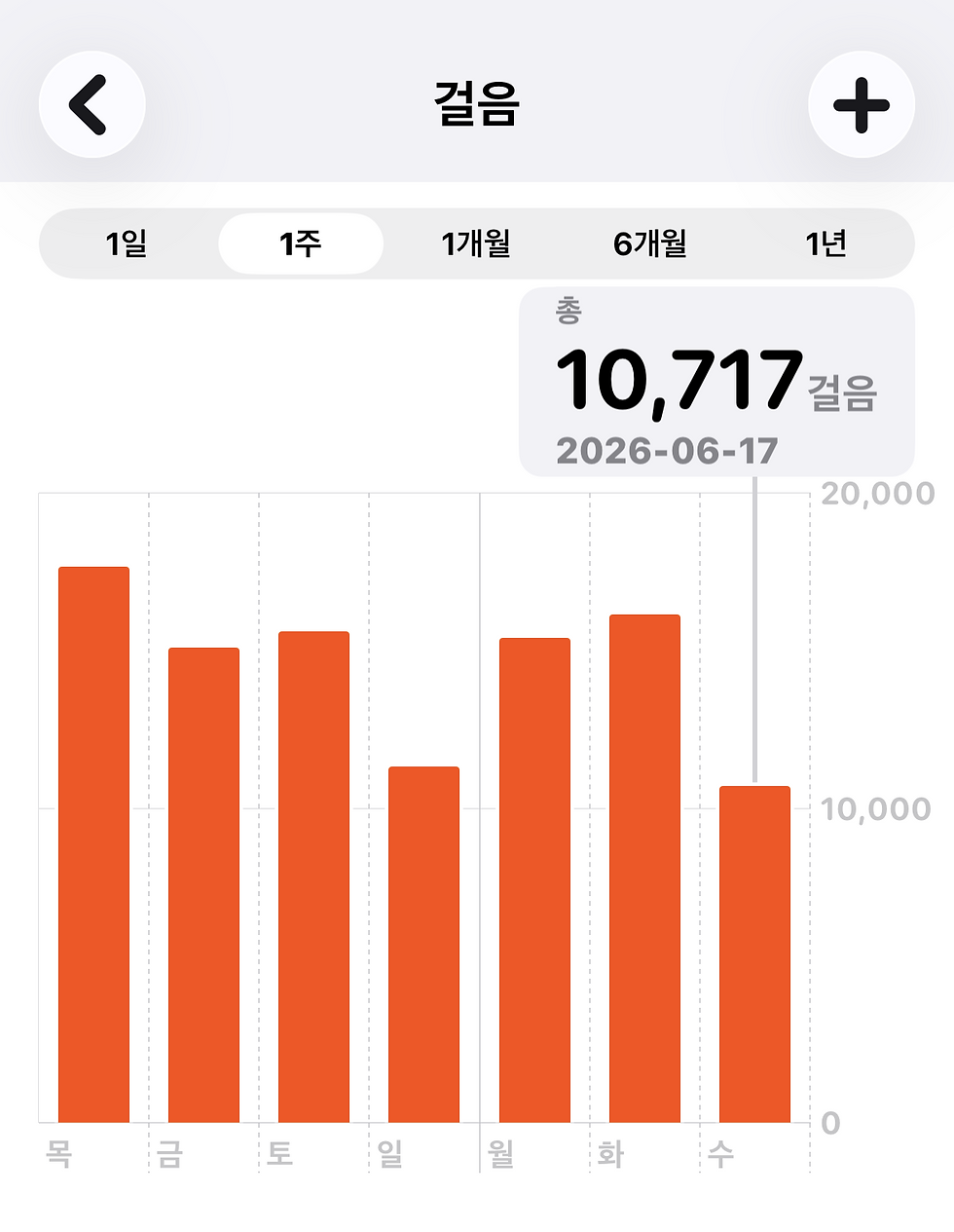 FLEX.jpg