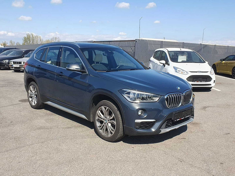 Miniature : BMW X1 18d Business