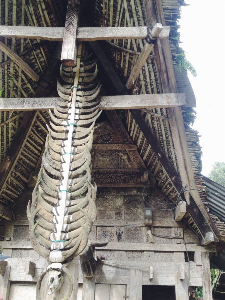 50-years old Tongkonan house