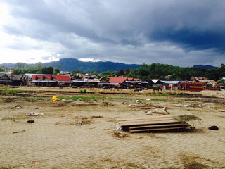 Bolu Market: The Biggest Buffalo Market in Asia