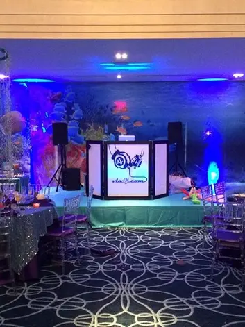 dj vlad - led lights