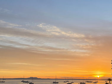 Palma.jpg