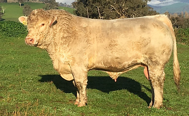 Charnelle Panama.JPG