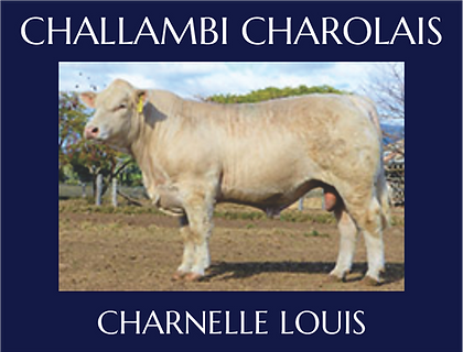 Charnelle Louis.png