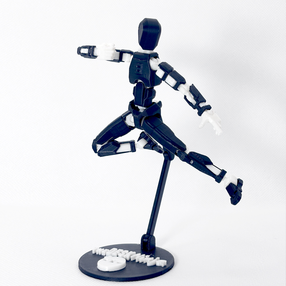 The Black Desk Ninja by TheDeskNinja in a high-contrast, professional setting.