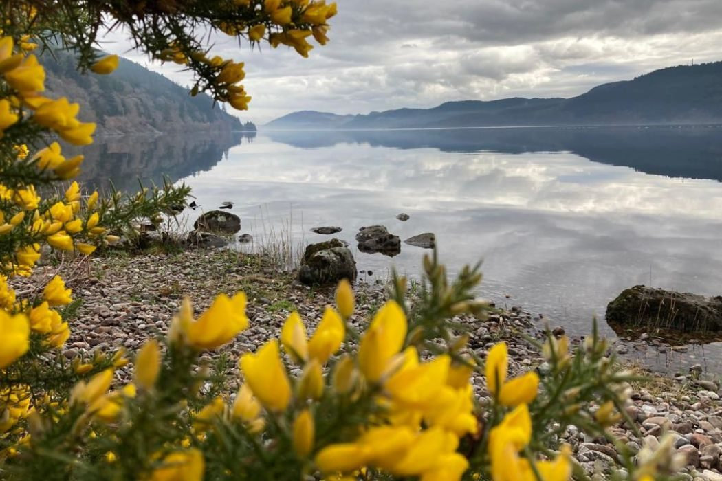 Lochside Hostel | Stay on the Shores of Loch Ness