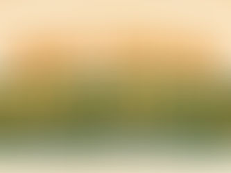 summer camp hiring announcement