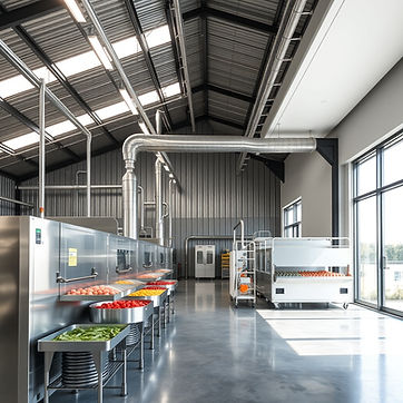 Industrial kitchen with steel tables, red and green vegetables lined up. Bright, spacious space with large windows and metal ducts above.