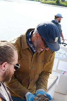 Sorting freshly harvested oysters at Matunuck Oyster Farm in South Kingstown, Rhode Island