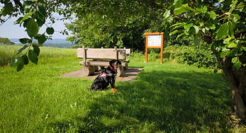 Sitzgruppe Kösterberg 21.5.2024.jpg