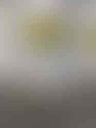 New Series and Exhibition at Gallery Deniz by Denizbank