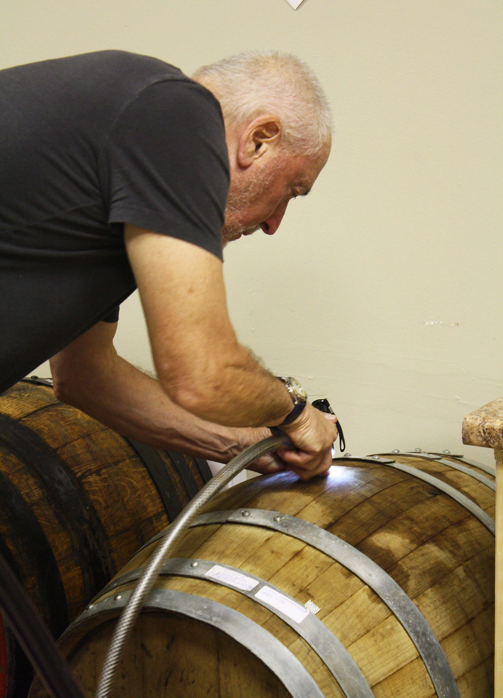 Transferring wine to Oak barrel for ageing