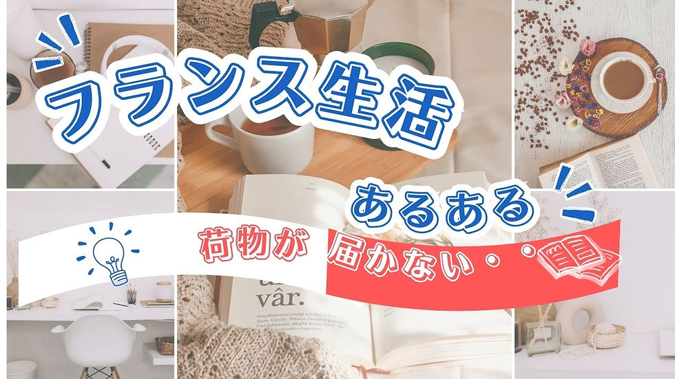 フランス生活日記