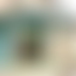 ノルマンディーのオアシス　バニョル