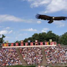 PUY DU FOU 人気のテーマパーク