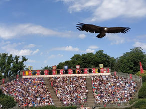 PUY DU FOU 人気のテーマパーク